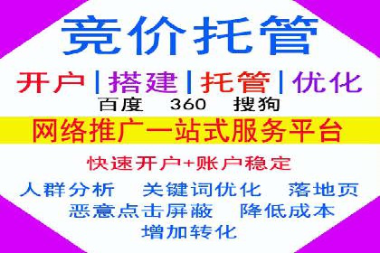 百度广告推广的投放策略与市场分析